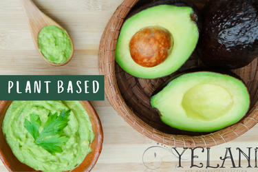 Corrective Hydrating Hair Mask - Protein Conditioner for Natural Black Hair - Plant Based Hair Care for Natural Hair